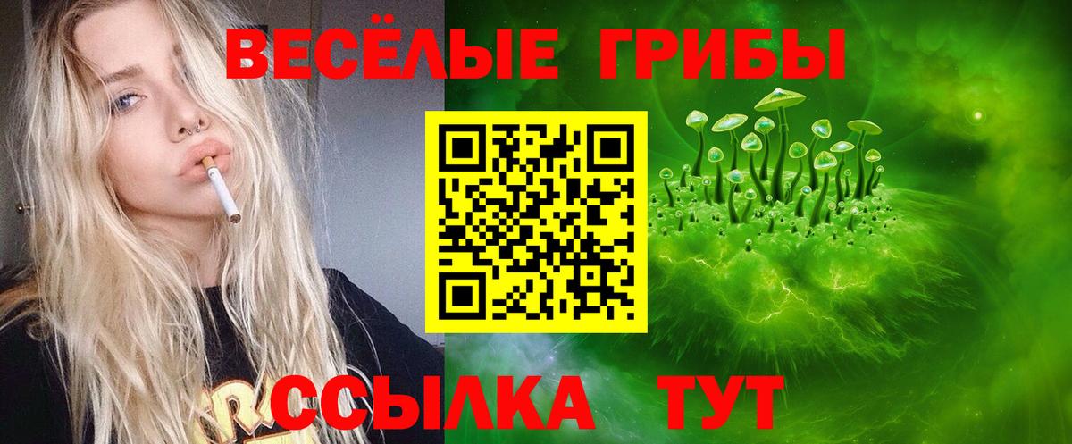 Галлюциногенные грибы Cubensis Мичуринск