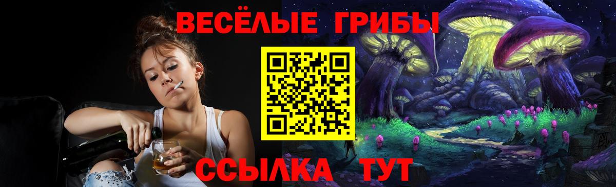 Галлюциногенные грибы прущие грибы  где продают наркотики  Галлюциногенные грибы GOLDEN TEACHER  Мичуринск  Вход с VPN 